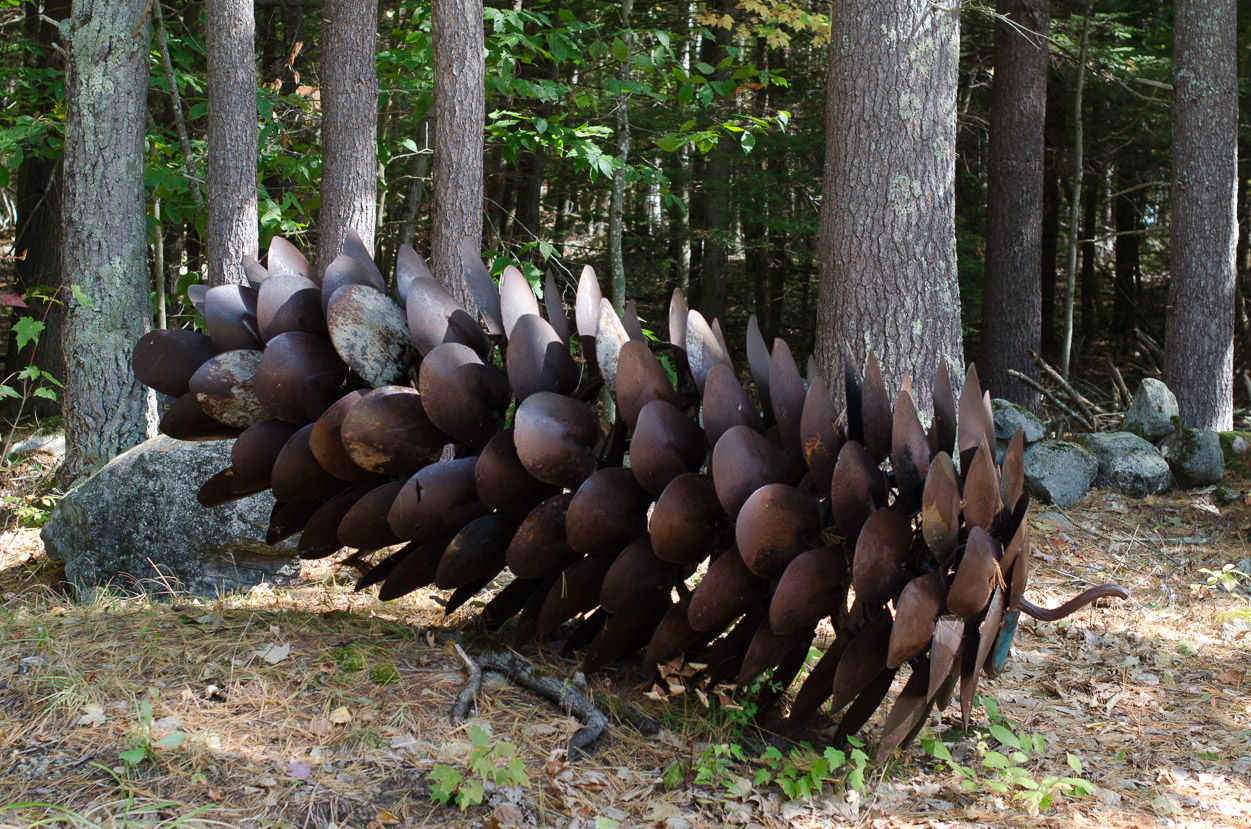 PINECONE Patrick Plourde