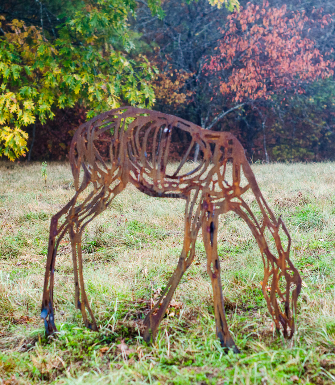 GRAZING DOE SHADOW Wendy Klemperer 