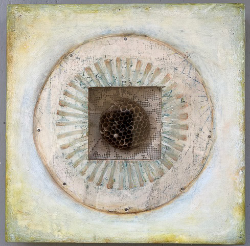 UNTILED ( Wasp Nest ) Sara Crisp