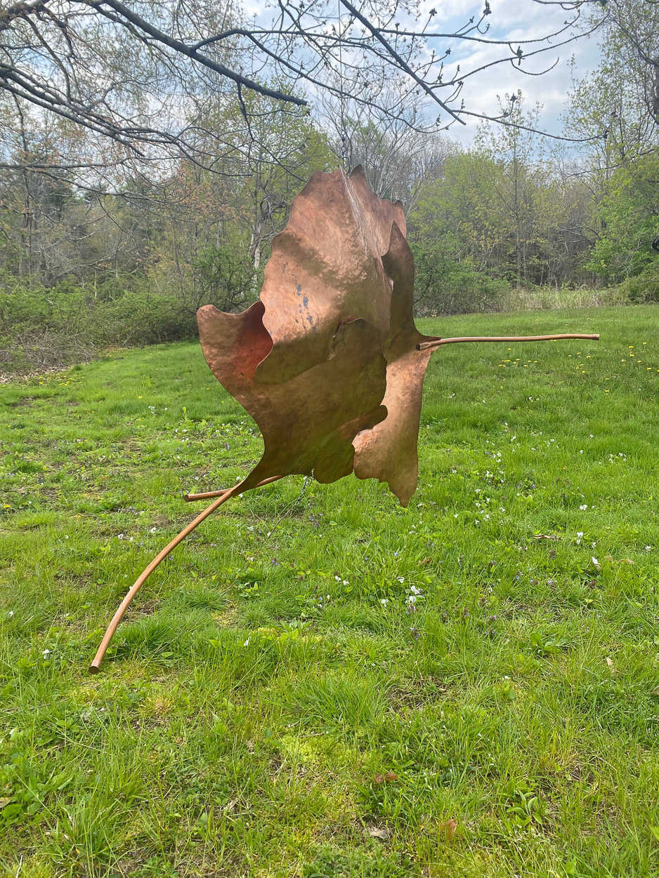 DANCING GINKGO Marnie Sinclair