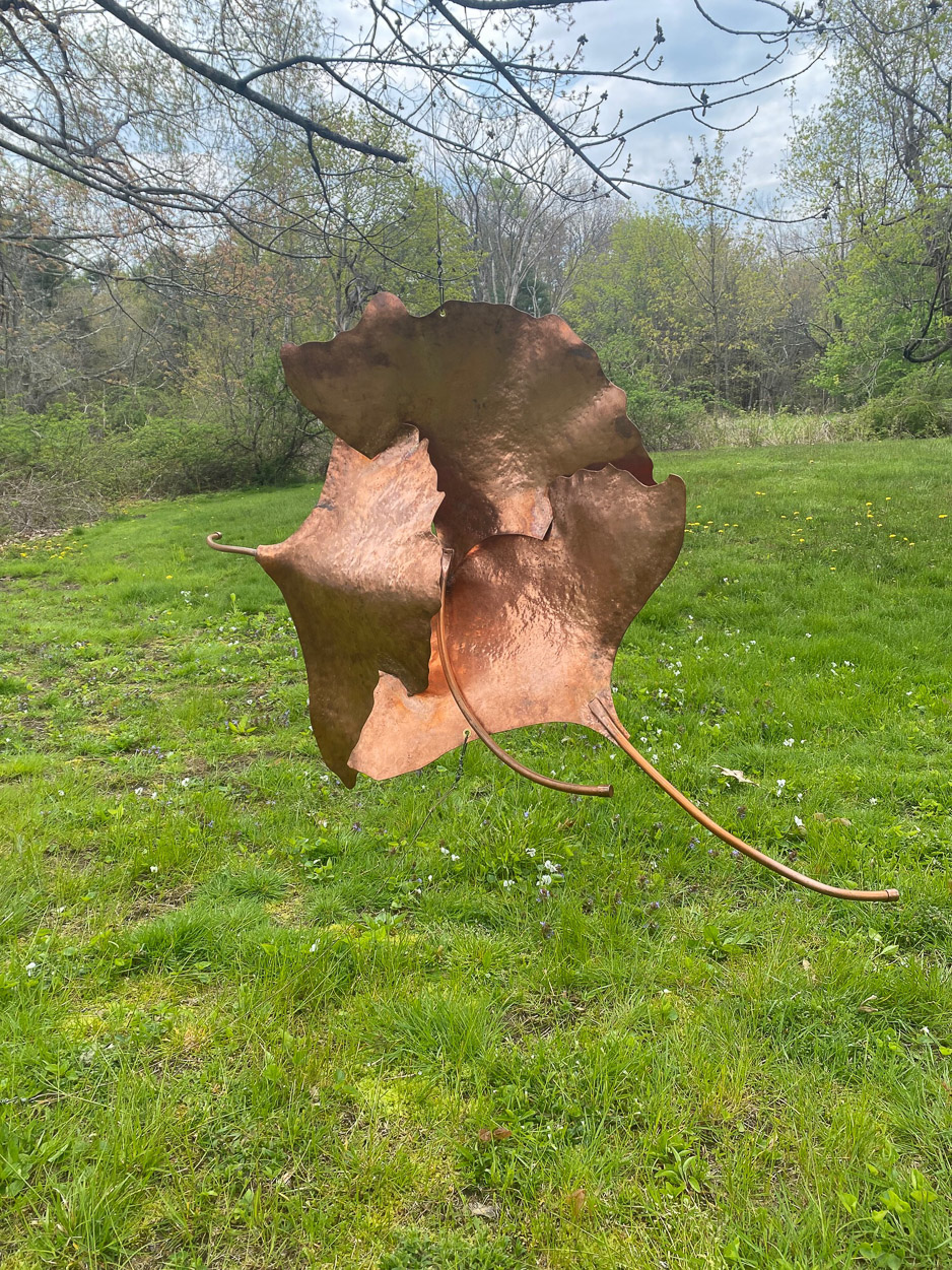 DANCING GINKGO Marnie Sinclair